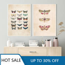 Vintage Butterfly Insect Nature Kids Education Nursery Wall Art Canvas Painting Posters Prints Wall Decor Kids Home Decoration 2024 - buy cheap