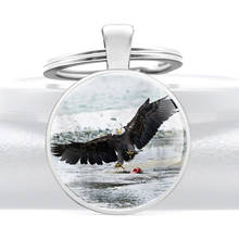 Silver Color Bald Eagle Glass Dome Metal Key Chain Charm  Men Women Key Ring  Jewelry Gifts Keychains 2024 - buy cheap