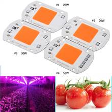 Spectrum COB LED Plant Grow Chip Phyto Light 20W 30W 50W Led Diode Grow Lamp Fitolampy for Seedling Veg Indoor Hydroponics 2024 - buy cheap