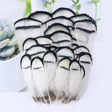 20/50/100Pcs White Plume Pheasant FeatherS 8-13cm DIY Jewelry Accessory Pheasant Feathers for Crafts Fly-tying Material 2024 - buy cheap