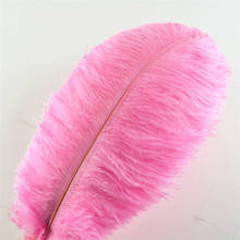Plumas de avestruz de color rosa, 15-75CM, 6-30 pulgadas, para carnaval, fiesta, pluma de avestruz Natural para manualidades, venta al por mayor 2024 - compra barato