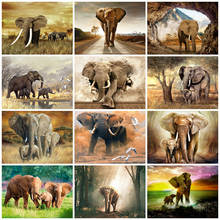 Evershine 5d pintura de diamante elefante strass arte diamante bordado animais ponto cruz kits de imagens presente hobby 2024 - compre barato