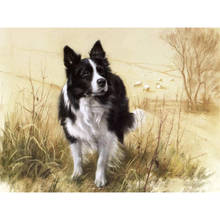 Animal Border Collie DIY Cross Stitch 11CT Embroidery Kits Needlework Craft Set Printed Canvas Cotton Thread Home     Room 2024 - buy cheap