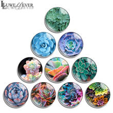 10mm 12mm 16mm 20mm 25mm 30mm 601 Succulents Mix Round Glass Cabochon Jewelry Finding 18mm Snap Button Charm Bracelet 2024 - buy cheap
