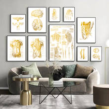 Arte de anatomia humana, cartazes médicos e impressões, imagem de arte de parede, esqueleto dourado, corpo muscular, pintura de tela 2024 - compre barato