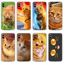 Милый Оранжевый кот для Samsung Galaxy S10 Lite S9 S8 S7 S6 edge Plus S5 S4 Note 9 8 5 4 mini аксессуары чехол для телефона 2024 - купить недорого