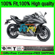 OEM Injection For KAWASAKI Bodys 650R ER6 F ER 6F 17 157BS.13 Metal grey 650R-ER6F ER-6F ER6F 17 18 19 2017 2018 2019 Fairings 2024 - buy cheap