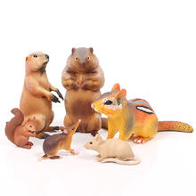 Figuras de acción de animales salvajes de marmota, ardilla, opossum, ratón, pequeña ardilla, juguete de colección 2024 - compra barato