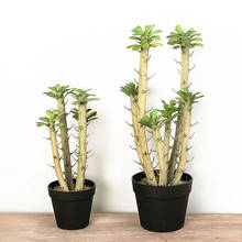 Cactus plantas cilíndricas artificiais 50cm, cactos tropicais de plástico raro ramos arte artesanato adereços de modelagem de hotel escritório varanda decoração de casa 2024 - compre barato