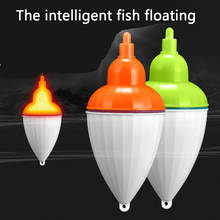 Flutuador luminoso de eva para pesca, isca flutuante com material de plástico para pesca marítima, acessório de pesca de carpa 2024 - compre barato