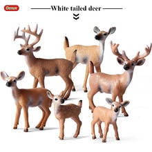 Oenux 6pcs/set Original White-Tailed Deer Simulation Action Figures Odocoileus Virginianus Deer Animals Figurines Model Kids Toy 2024 - buy cheap