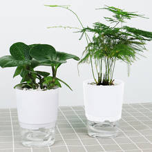 Planta preguiçosa de rega automática com recipiente de água hidropônica vaso de flores plantas em vaso absorvedor de água automático 2024 - compre barato