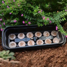 Plastic Nursery Pots Planting Seed Tray Kit Cloning Case Kit Seed Grow Box Humidity Dome Base Nursery Pots Garden Flower Pot 2024 - buy cheap