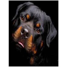 Animal Dog Rottweiler DIY 11CT Embroidery Cross Stitch Kits Needlework Craft Set Printed Canvas Cotton Thread      Dropshipping 2024 - buy cheap