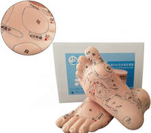 13cm Foot Reflex Zone Massage Model, Not Acupuncture Model, Foot Massage Model Chinese Language Feet Reflexology,1 Pair Medical 2024 - buy cheap