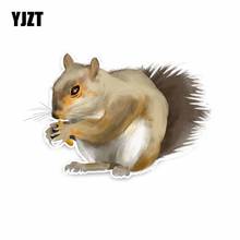 YJZT 10.1CM*15.5CM Cute Grey Squirrel PVC Animal Car Sticker Decal C29-0475 2024 - buy cheap