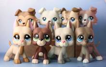 （8PCS Toys）Pet Shop Great Dane Collie Dog with 7pcs Accessories Collection Toy Figure Girls Boys Gift 2024 - buy cheap
