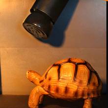 Лампа для рептилий 25 Вт/50 Вт/75 Вт/100 Вт E27 дальняя инфракрасная керамическая нагревательная лампа для домашних животных Ящерица Черепаха Паук рептилия коробка Нагреватель Теплая лампа 2022 - купить недорого