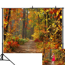 Lyavshi photography background Autumn leaves beautiful dream forest natural backdrop photo studio camera fotografica 2024 - buy cheap