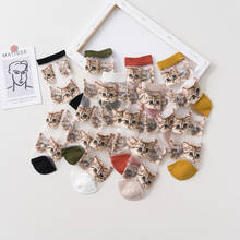 New 3D Print Funny Cute Cartoon Kitten Women Long Socks Creative Colorful Multiple Cat Face Happy Crew Socks Summer For Women 2024 - buy cheap