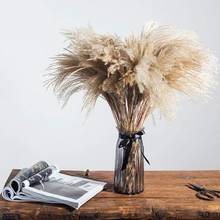 Pampas Grass Decor Plants Home Wedding Decor Dried Flowers Bunch Feather Flowers Natural Phragmites Tall 50-55  Home Decoration 2024 - buy cheap