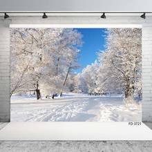 Telón de fondo para estudio fotográfico, accesorios de Fotografía de Invierno con nieve, camino de árbol, bosque, cielo azul, paisaje, sesión fotográfica 2024 - compra barato