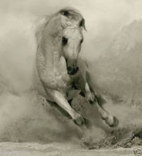 MODERN ABSTRACT HUGE CANVAS ART Hand OIL PAINTING horse 2024 - купить недорого