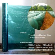 Wholesale 520m²/Roll 0.02mm Green Plastic Mulch Film Vegetable Ginger Planting Film Agriculture Greenhouse Film Width:1m 1.2m 2m 2024 - buy cheap