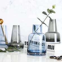 Vaso de vidro estilo nórdico, novo design simples, decoração de mesa, garrafa para cultivo de água, planta 2024 - compre barato