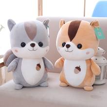 25cm 35cm Eiderdown Cotton Raccoon Squirrel Hamster Kawaii Animal Dog Cute Doll Kid Toy 2024 - buy cheap