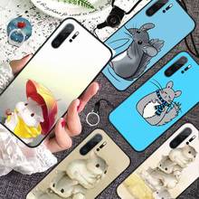 Capa de celular chinchila de desenho animado, capinha de celular fofa para huawei p9 p10 p20 p30 pro lite smart mate 10 lite 20 y5 y6 y7 2018 2019 2024 - compre barato