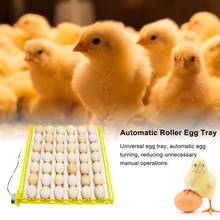 Incubadora de 70 huevos con bandeja de giro, equipo de incubación de aves de corral, pollos, patos y otras aves de corral, gira automáticamente los huevos 2024 - compra barato