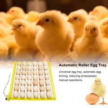 70 Eggs Incubator Turn Tray Poultry Incubation Equipment Chickens Ducks And Other Poultry Incubator Automatically Turn Eggs 2024 - buy cheap