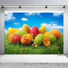 Easter Egg Grass Sky Spring Flower Children Photography Background Baby Shower Portrait Backdrops Photophone Photo Studio Props 2024 - buy cheap