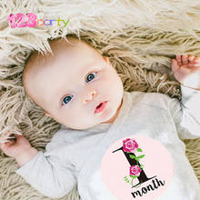 Baby Pregnant Women Monthly Photograph Stickers Lovely Cartoon Pink Blue Month 1-12 Milestone Clothes Decor baby shower Stickers 2024 - buy cheap