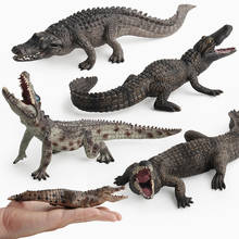 Figura de cocodrilo salvaje de simulación para niños, juguete coleccionable de 9 figuras de acción de cocodrilo, Animal de mesa de arena 2024 - compra barato