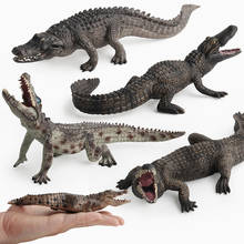 9 Kidns Simulation Wild Crocodile Figure Collectible Toys  Crocodile Wild Animal Action Figures Kids Animal Sandtable Scene Toy 2024 - buy cheap