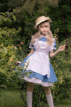 Halloween Women Adult Anime Alice In Wonderland Blue Party Dress Alice Dream Women Sissy Maid Lolita Cosplay Costume 2024 - buy cheap