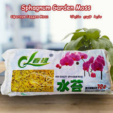 Увлажняющий мох Sphagnum, 12 л, органическое удобрение, защита корней орхидеи, суккулентов, цветочный горшок «сделай сам» для домашнего сада 2024 - купить недорого