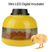10 куриных яиц Мини светодиодный цифровой инкубатор птицы инкубатор интеллектуальное управление перепелиные инструмент для инкубации 2024 - купить недорого