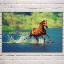 Крутая лошадь, бегущая в воде, свобода настроения, искусство животных, картина, украшение для дома, гостиной, спальни KH173 2024 - купить недорого