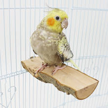 Деревянная подставка-держатель для попугая 2024 - купить недорого