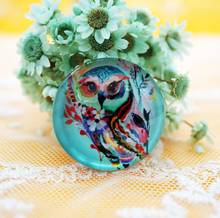 2PCS/lot Round 30MM Cute Owl Glass Cabochon for make bracelet necklace Jewelry for women 2019 earring pins brooch craft supply 2024 - buy cheap