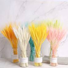 50Pcs/lot Natural Dried Flower colorful Wheat Ears Bouquet for Wedding Home Party Decoration DIY Craft  Wheat Branch Props 2024 - buy cheap