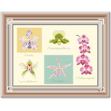 Orchids cross stitch package bloom 18ct 14ct 11ct unprint light yellow cloth cotton thread embroidery DIY handmade needlework 2024 - buy cheap