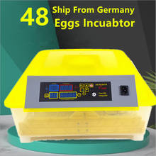 Totalmente automático incubadora de ovos de aves domésticas 48 digital claro ovo girando controle temperatura fazenda máquina incubadora 2024 - compre barato