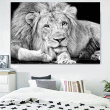 Pintura en lienzo de León, tigre y leopardo, carteles e impresiones en blanco y negro, animales, bestia, imagen artística de pared para decoración de sala de estar 2024 - compra barato
