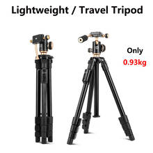 Lightweigt Travel Portable Tripod With Damping ball Head influencer Outdoor Living Tripod For Mobile phone selfie DSLR Camera 2024 - buy cheap