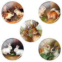 TAFREE Cute Rabbits With Flowers 12mm/15mm/16mm/18mm/20mm/25 mm Glass Cabochon Dome Picture for DIY Keychain Charms TX720 2024 - buy cheap