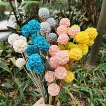 9pcs/lot,Natural Real Preserved Dried flower bunch,Eternal Display flower for Wedding Party Garden Home Decoration accessories 2024 - buy cheap